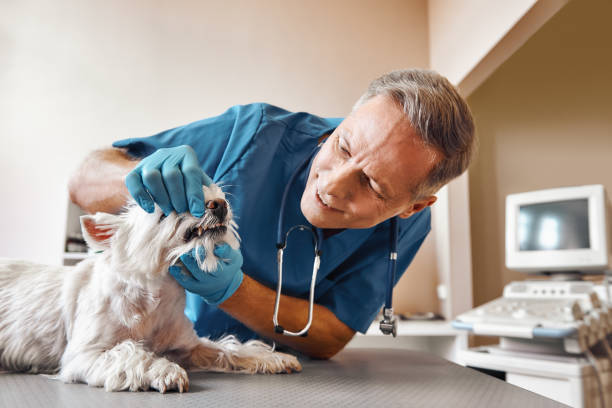  Dothan, AL Emergency Dentist Pros